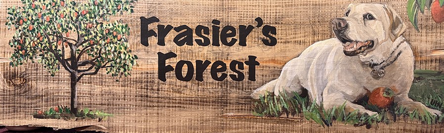 Frasiers Forest - Painting by UTN, white dog lying down next to persimmon tree